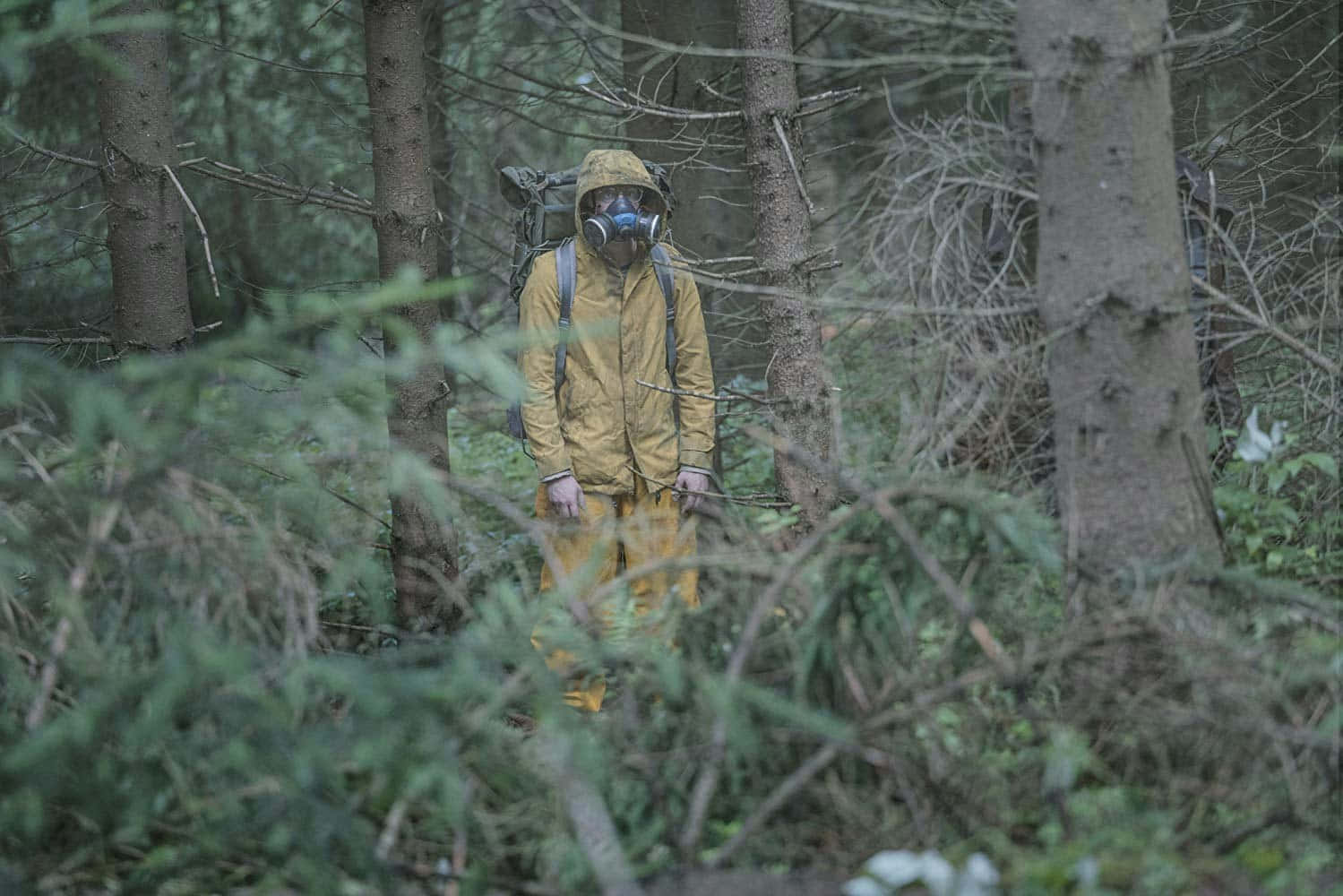 Personin Hazmat Suitin Forest