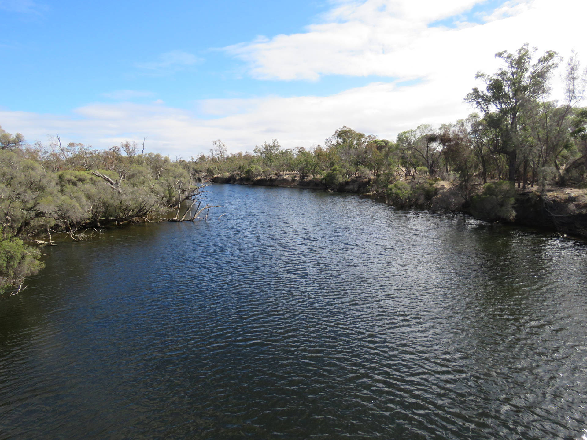 Perth Arthur River Background