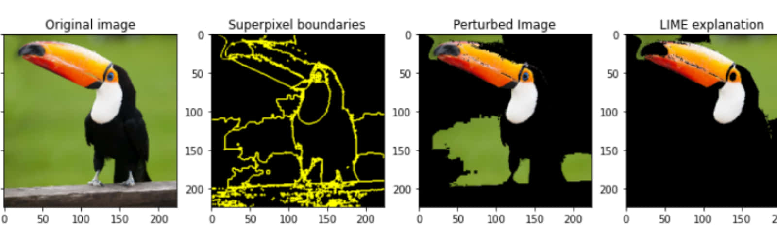 Perturbed Image Of A Toucan Background