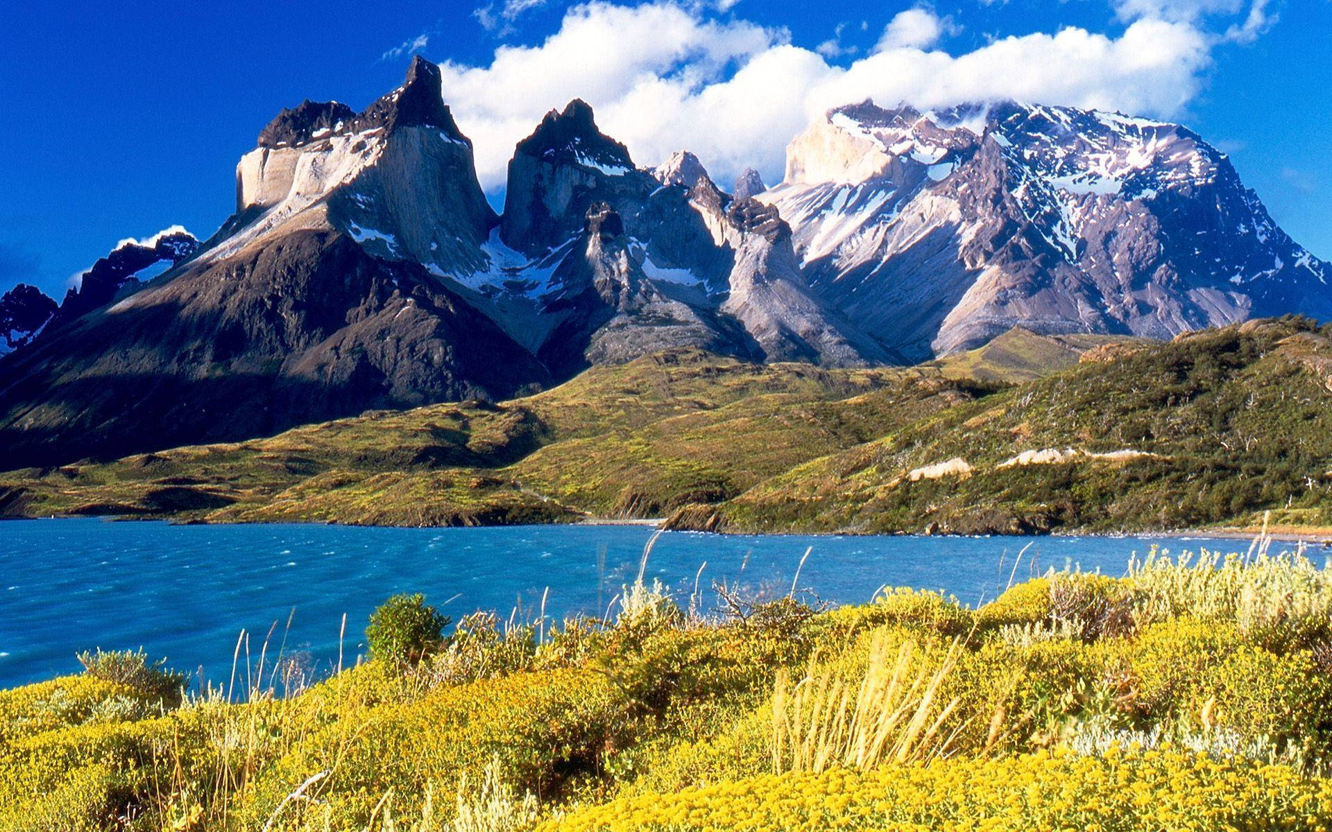 Peru Andes Mountain Landscape Collage Background