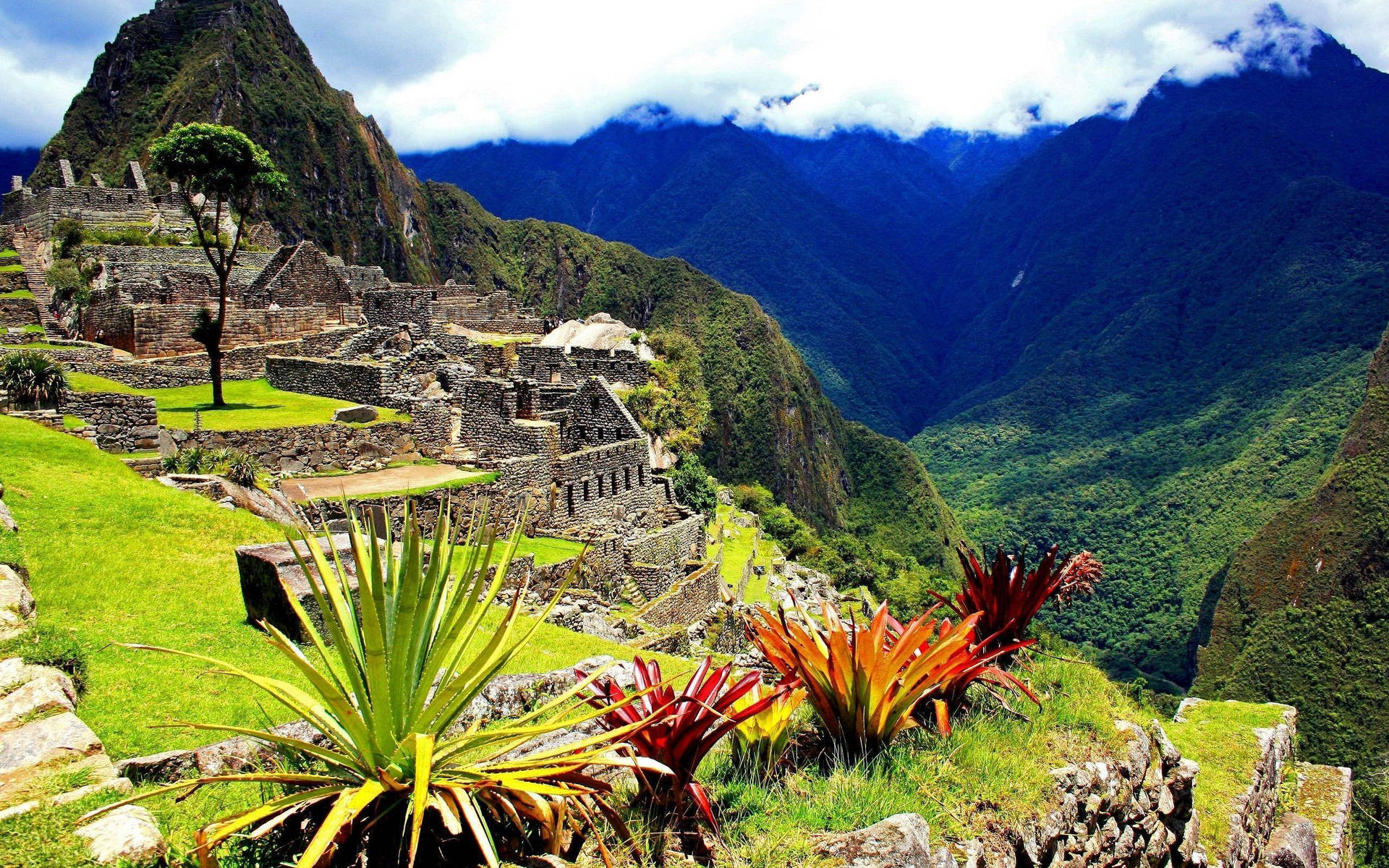 Peru Machupicchu Landscape