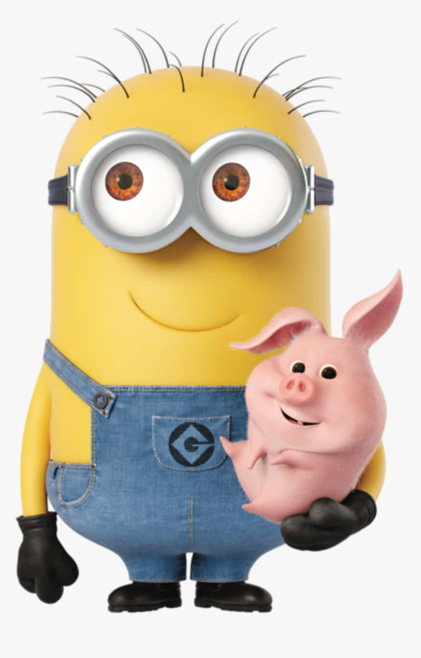 Pet Pig Minion Pfp Background