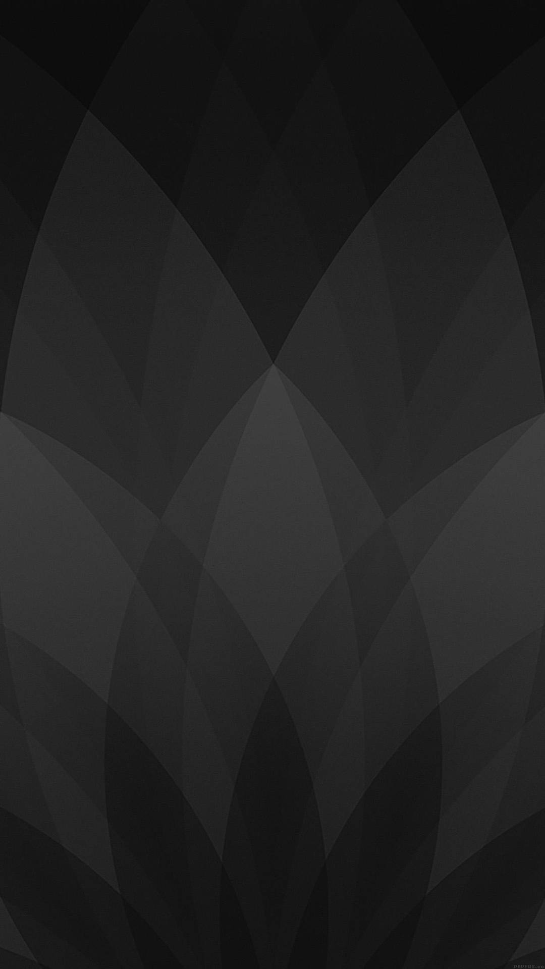 Petals Design Black And Grey Iphone Background