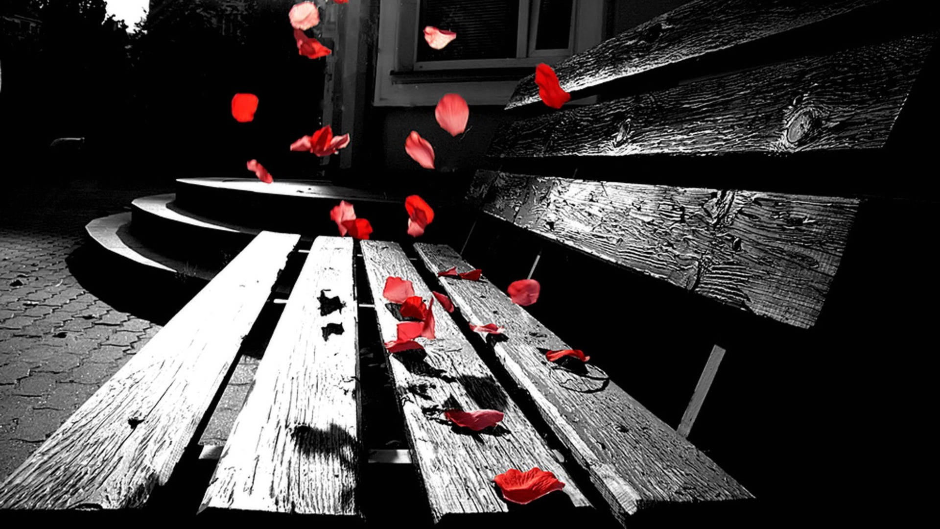 Petals Falling On Bench Background