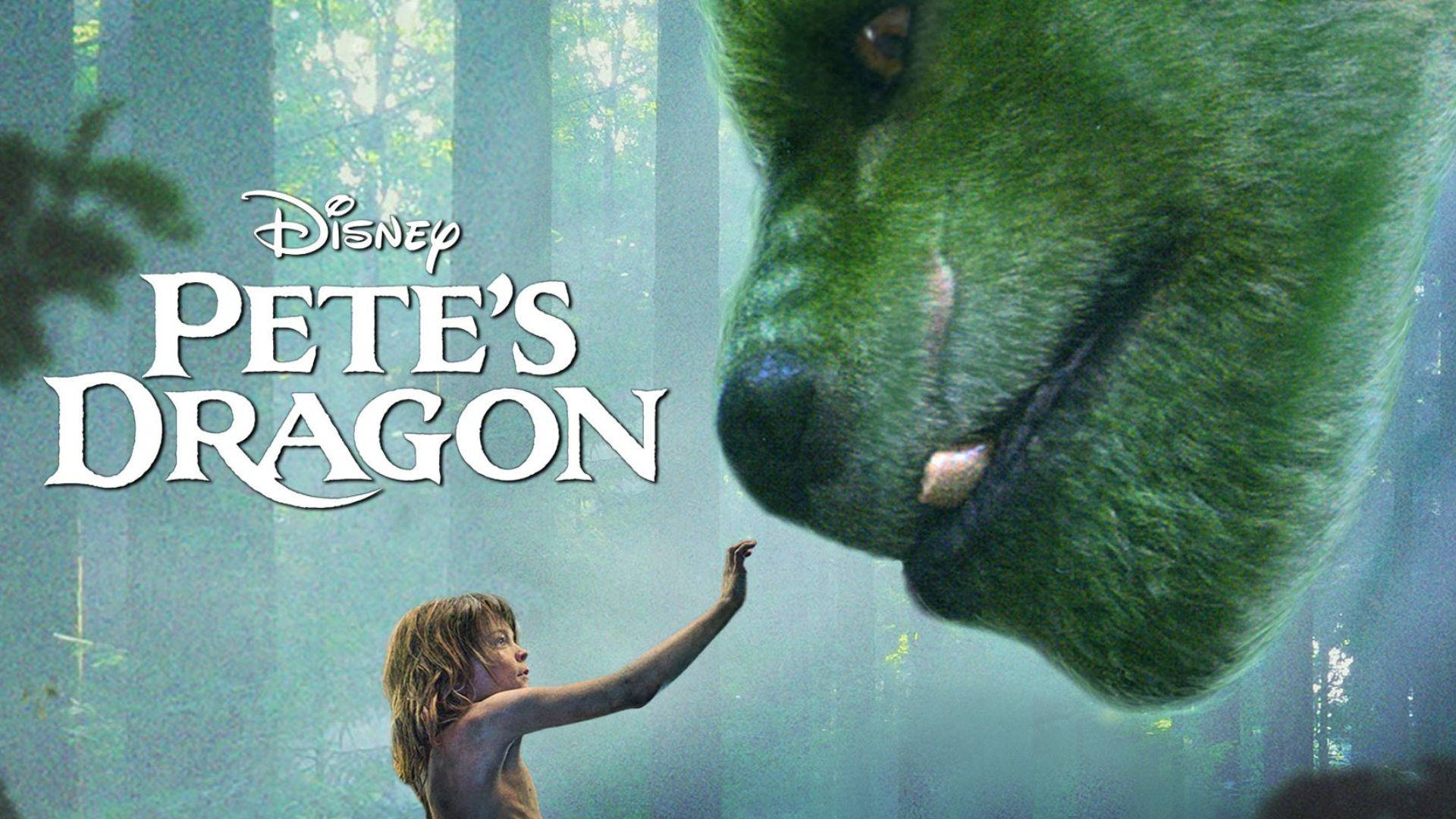 Pete's Dragon Elliot And Pete Background