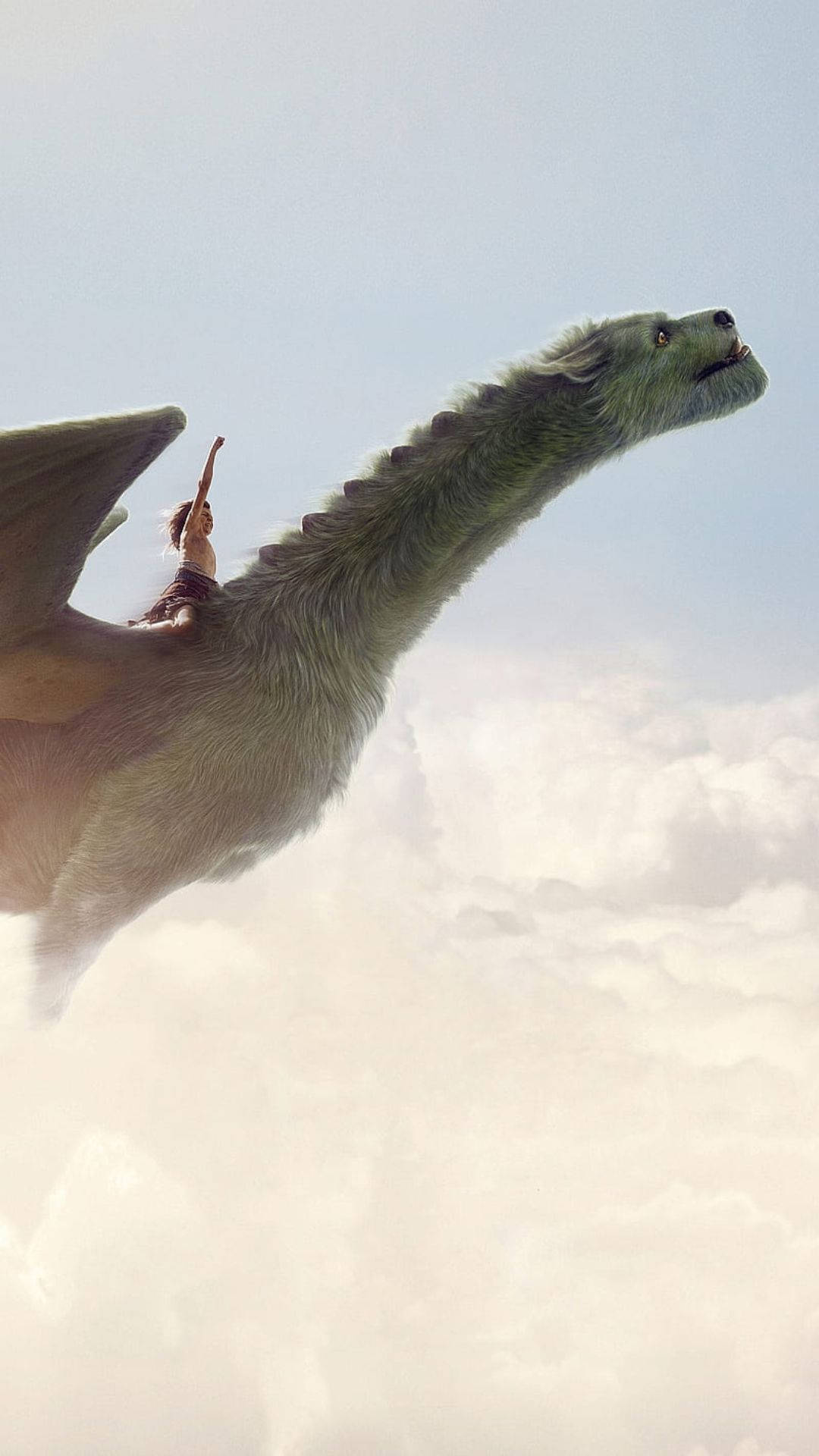 Pete's Dragon Flying High In Sky