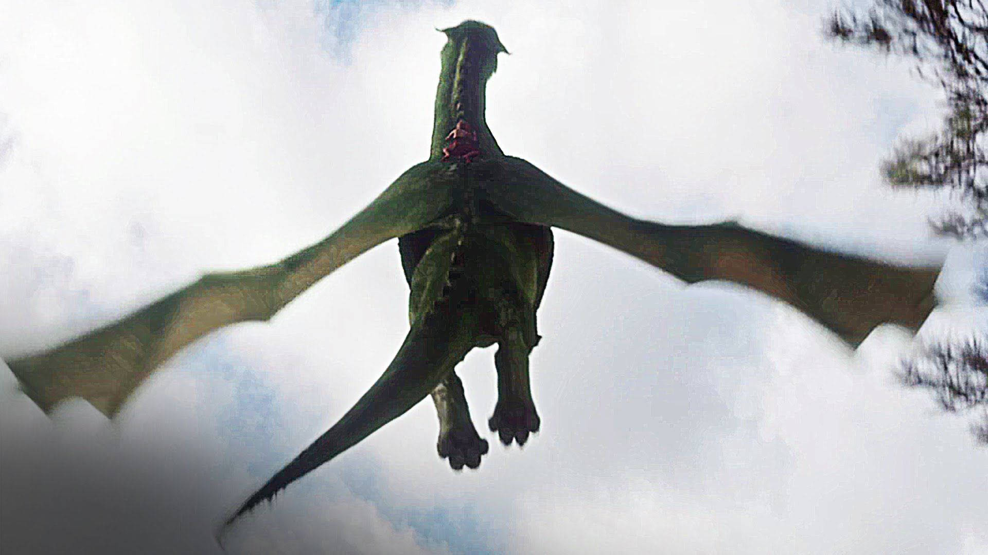 Pete's Dragon Flying High Background