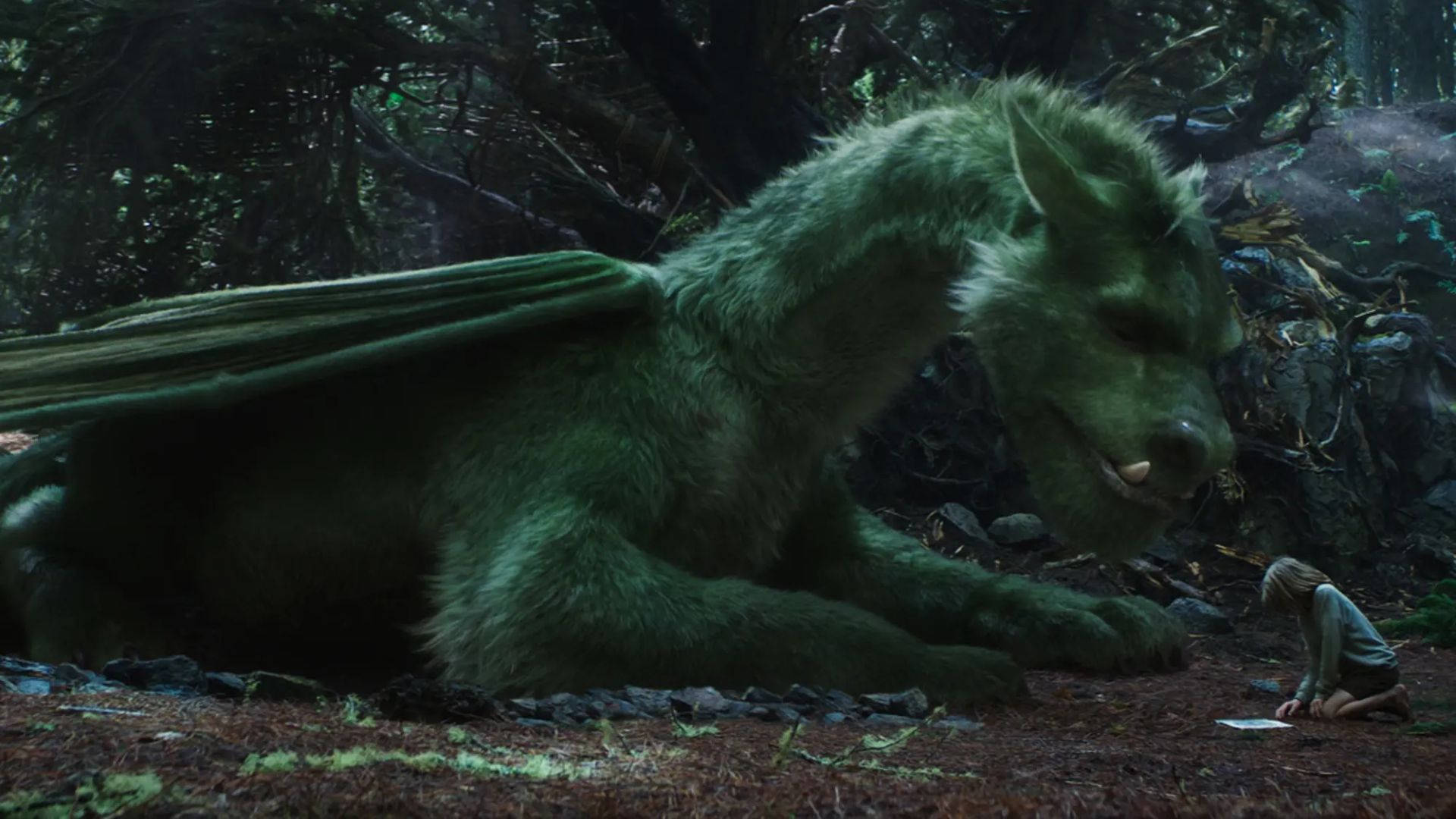 Pete's Dragon Looking Down Background