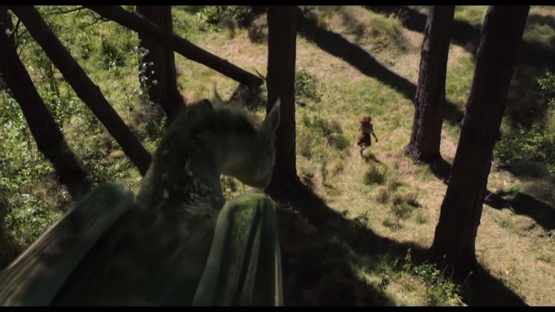 Pete's Dragon Staring At Boy Running Background