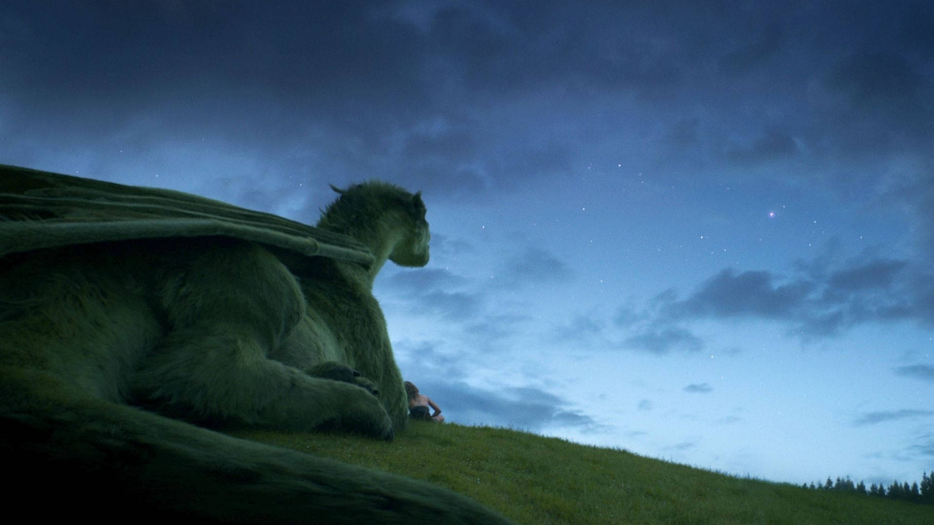 Pete's Dragon Staring At Sky