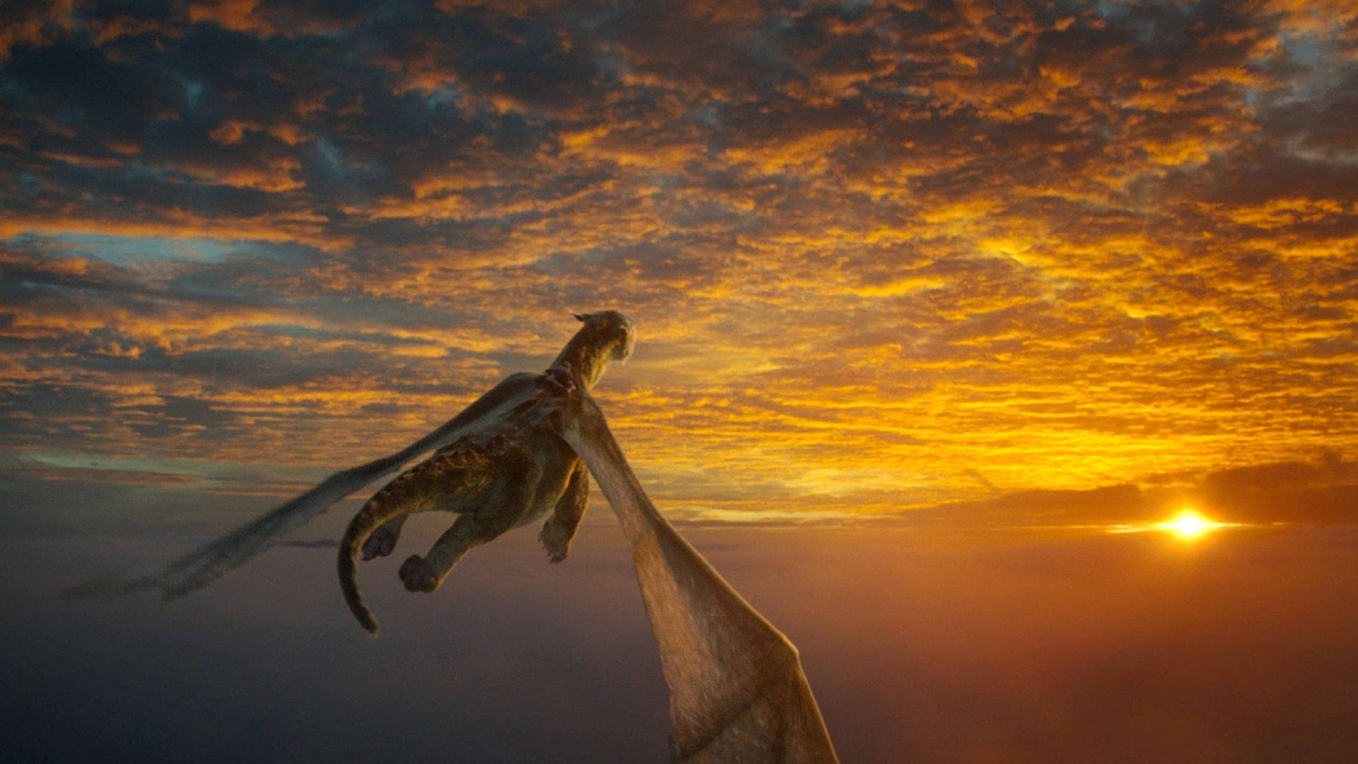 Pete's Dragon Staring At The Sun Background