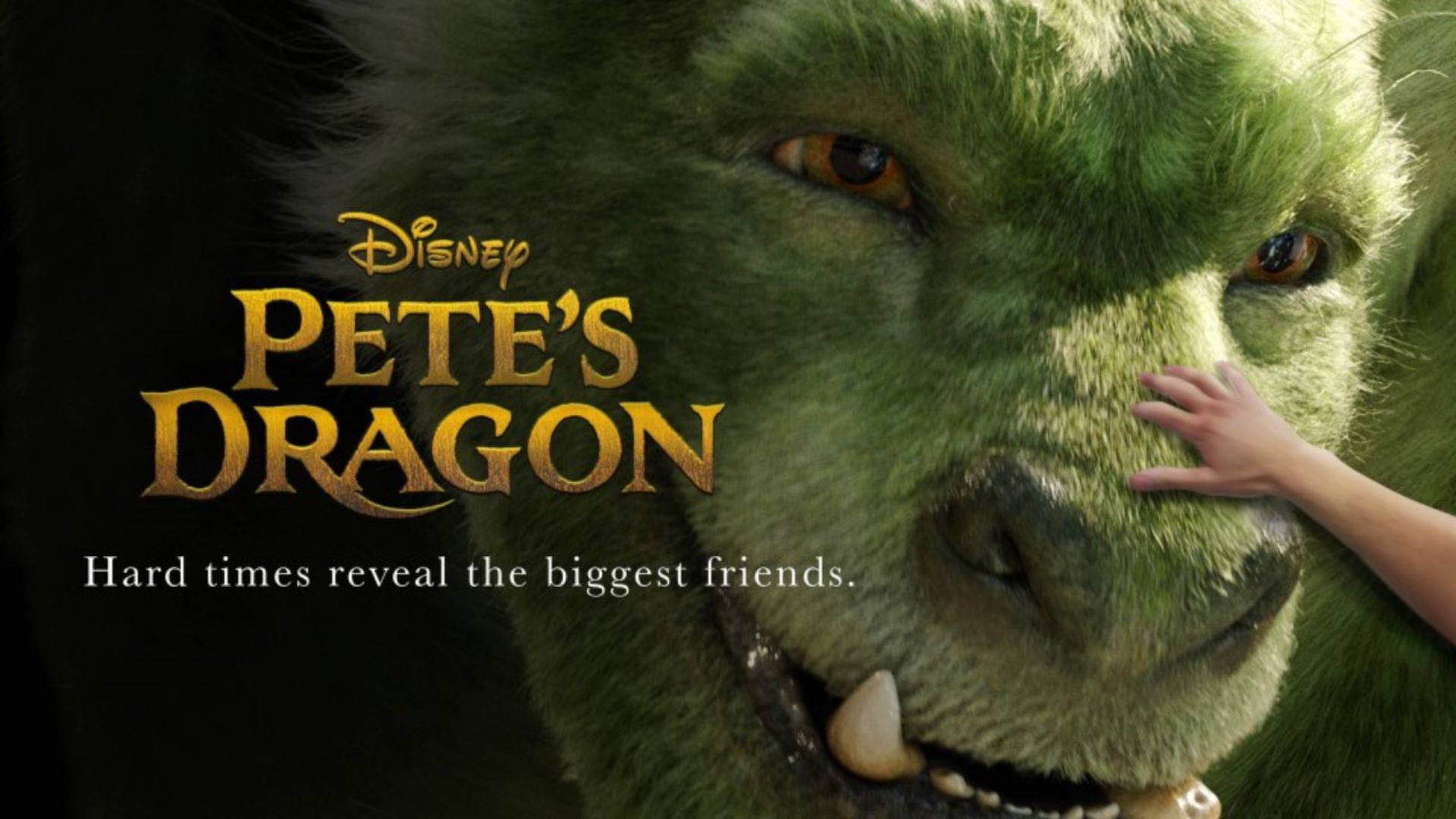 Pete's Dragon With Hand On Nose Background