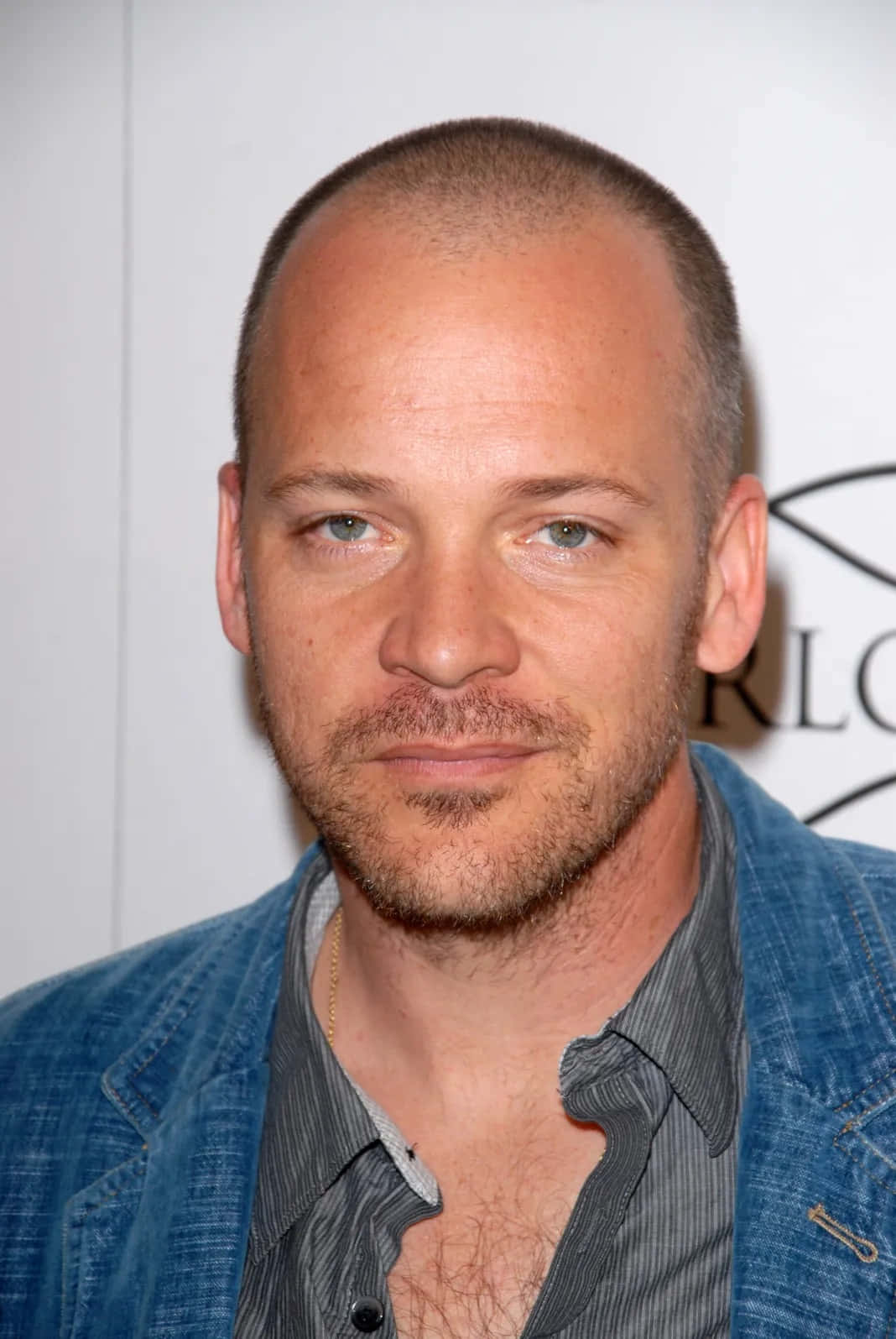 Peter Sarsgaard, The Multitalented Actor Background
