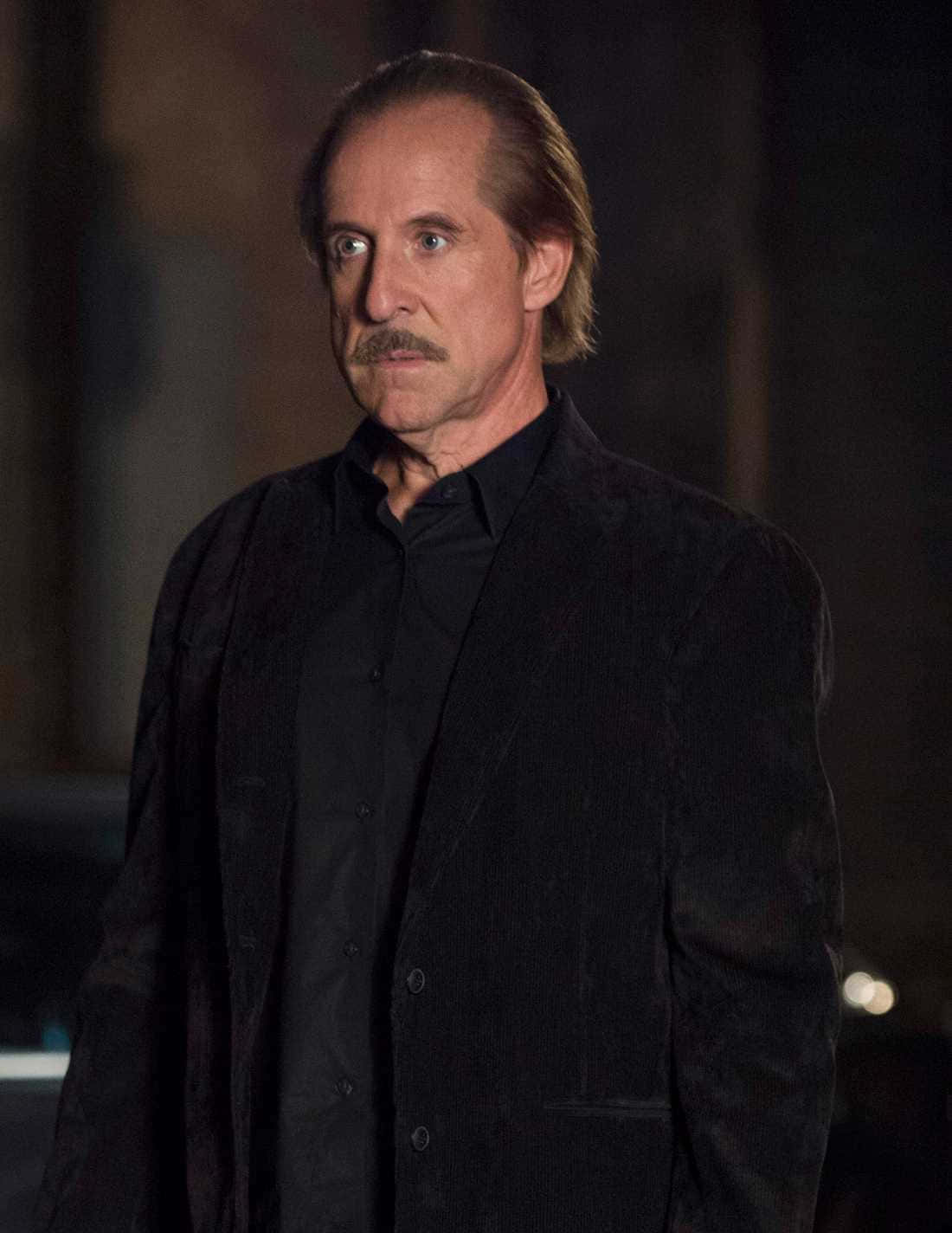 Peter Stormare - Swedish Actor And Director Background
