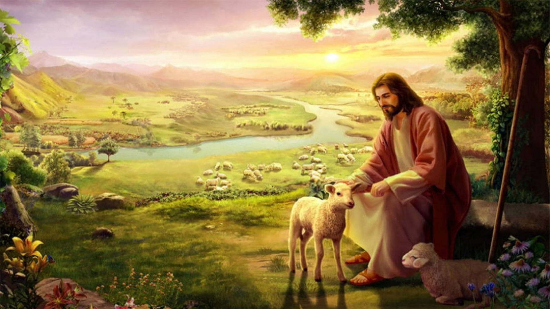 Petting A Lamb Jesus Desktop