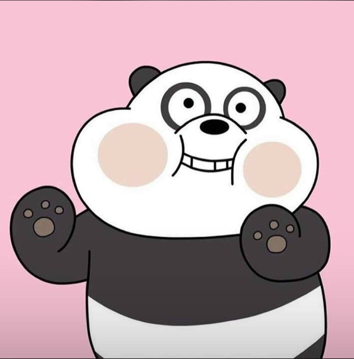 Pfp Aesthetic Panda