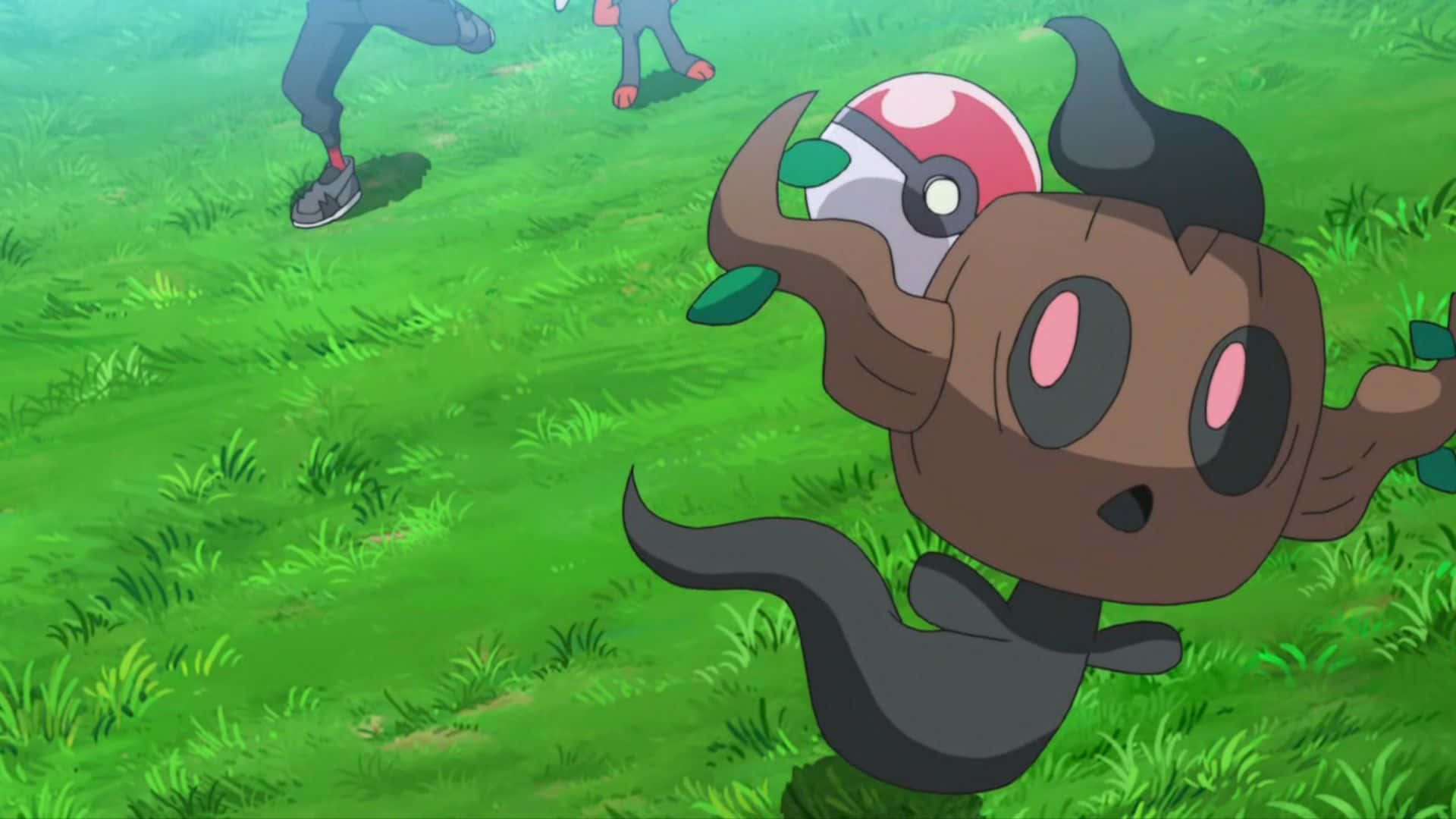 Phantump Running From Pokeball Background