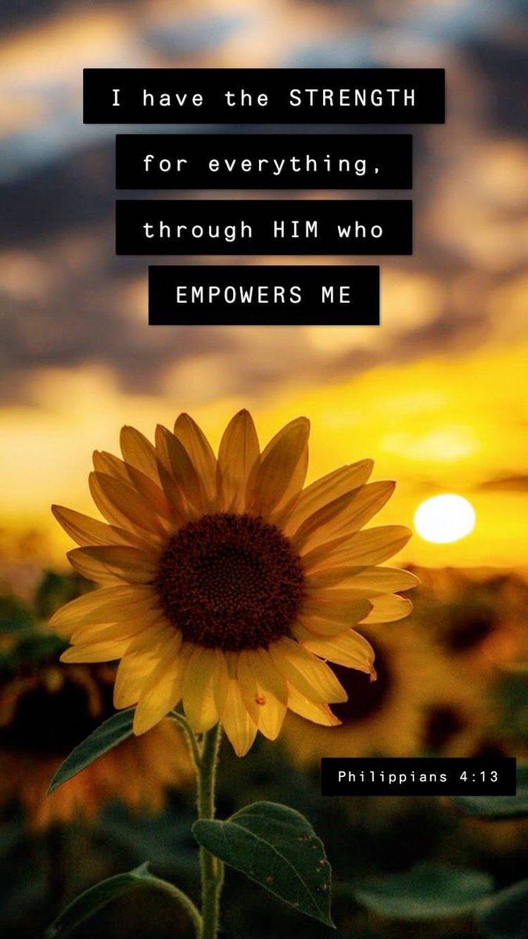 Philippians 4:13 Sunflower Iphone Background