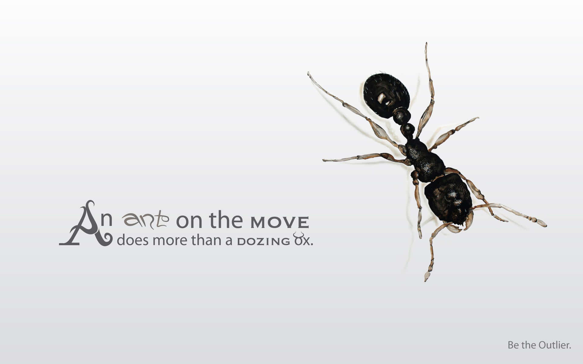 Philosophical Ant Artwork Background