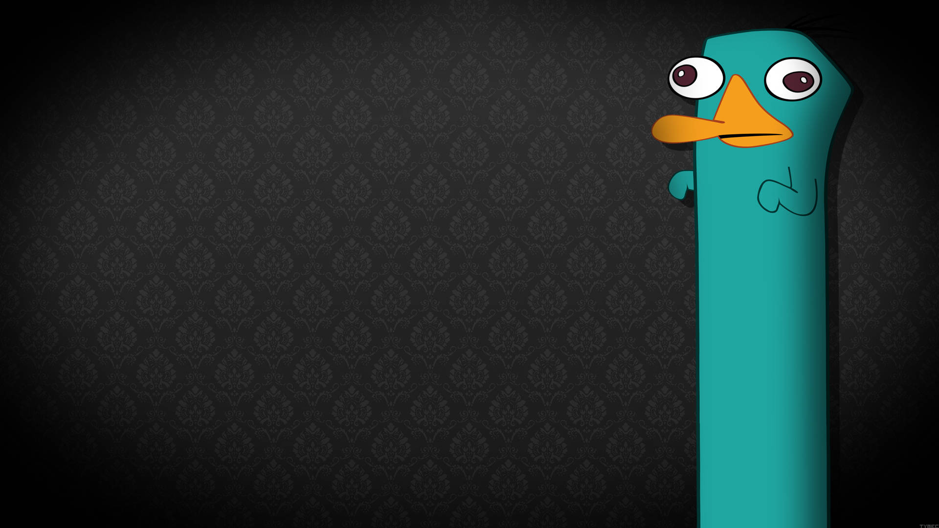 Phineas And Ferb Elongated Perry Background