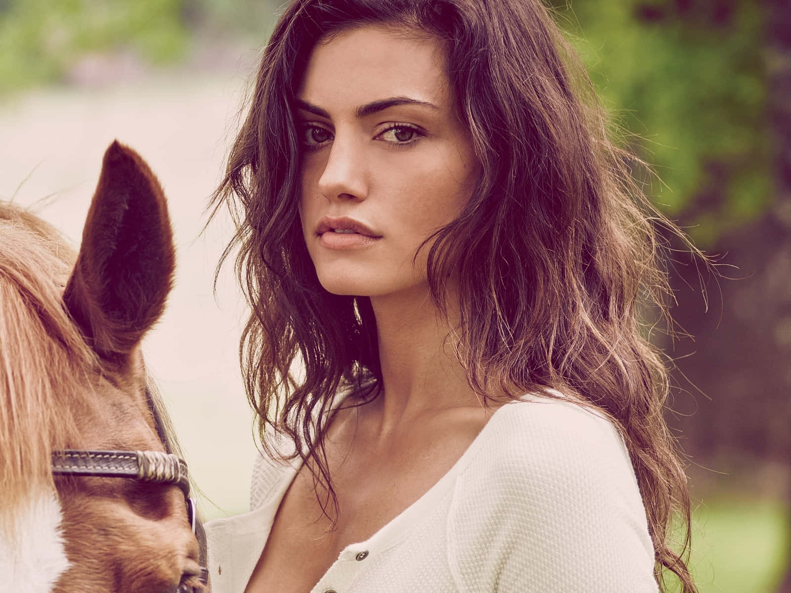 Phoebe Tonkin Equestrian Elegance Background