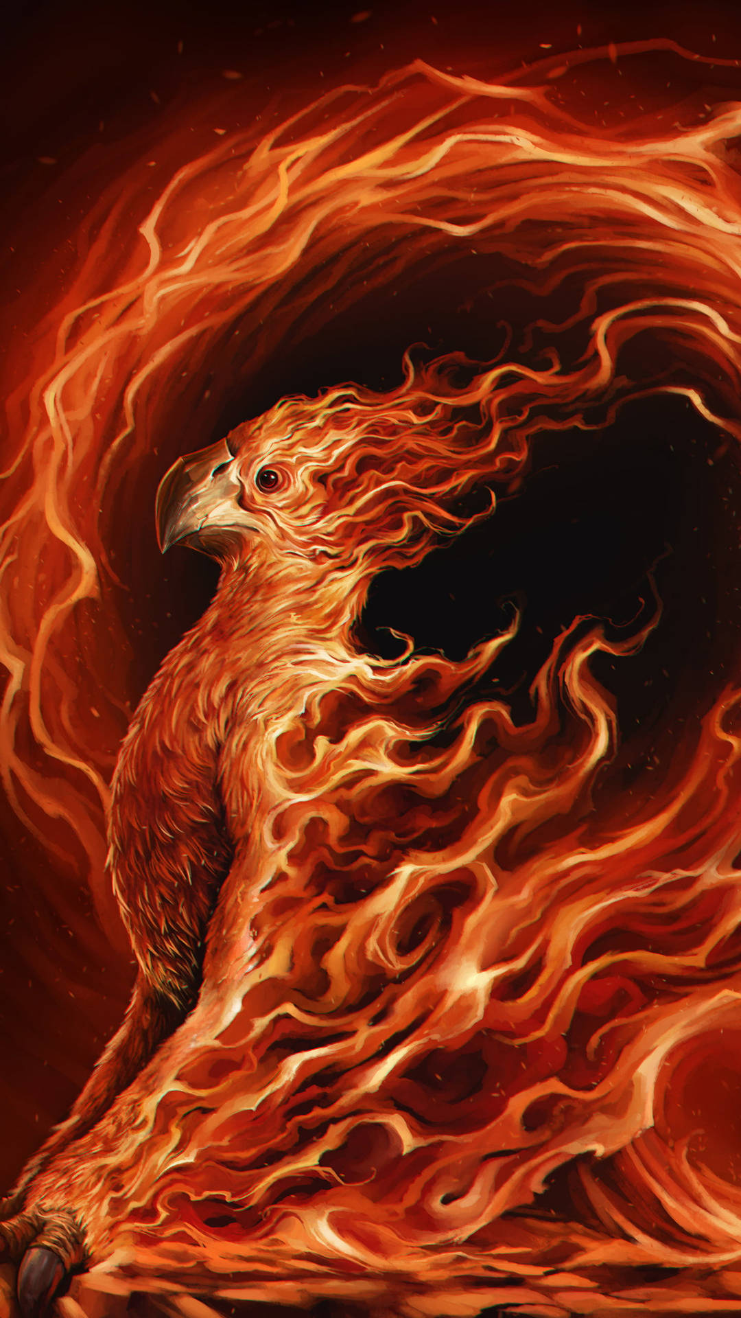 Phoenix Bird Fire Background Background