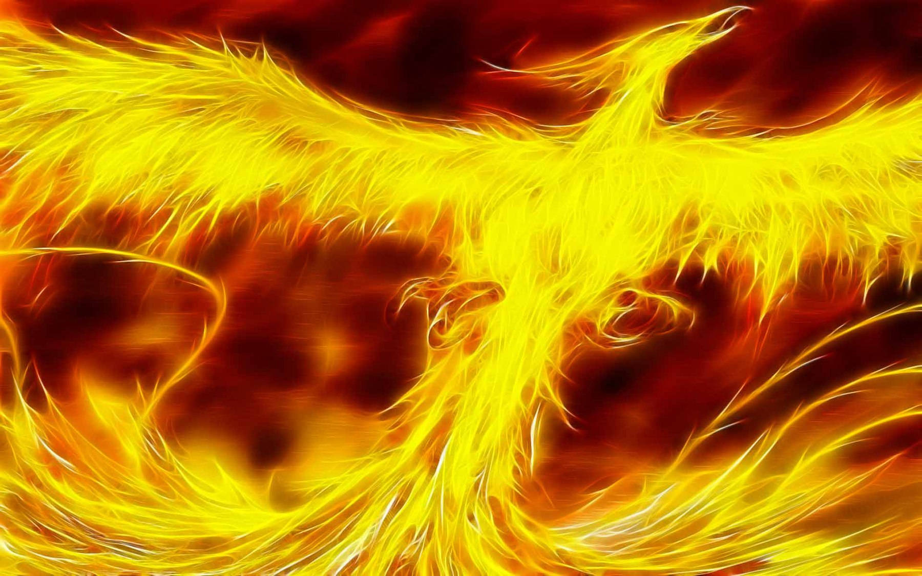 Phoenix Fire Wings Background