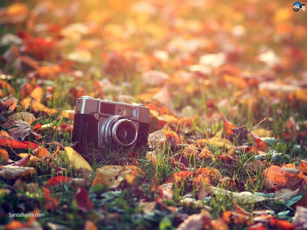 Phone On Vintage Autumn Leaves Background