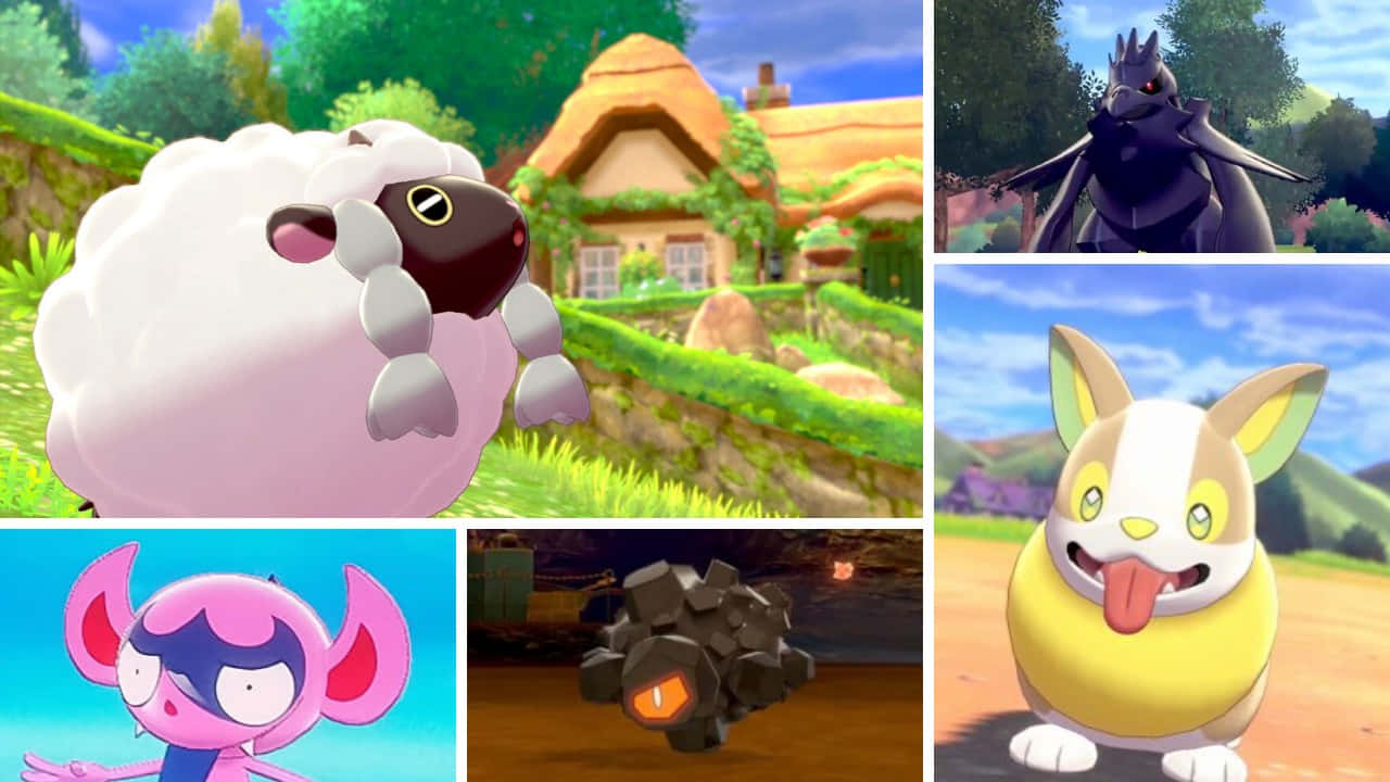 Photo Collage Of Rolycoly And Other Pokémon Background