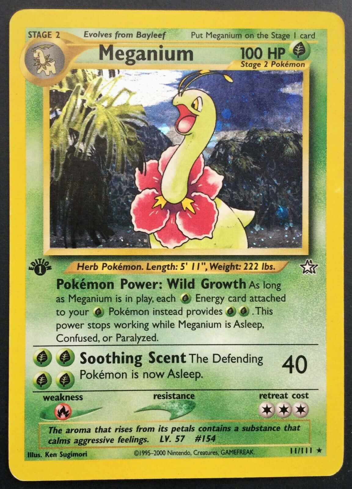 Photo Of Meganium Pokemon Trading Card Background