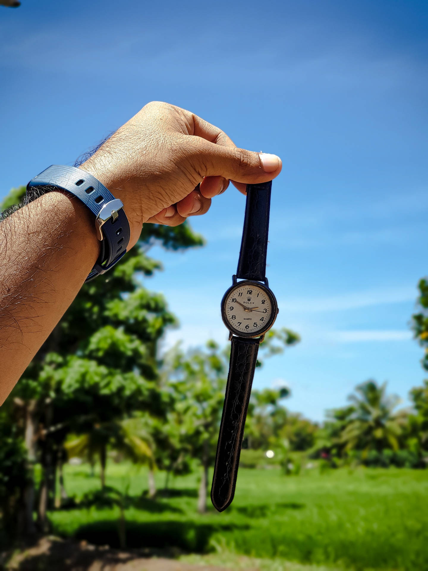 Photographed Rolex Background