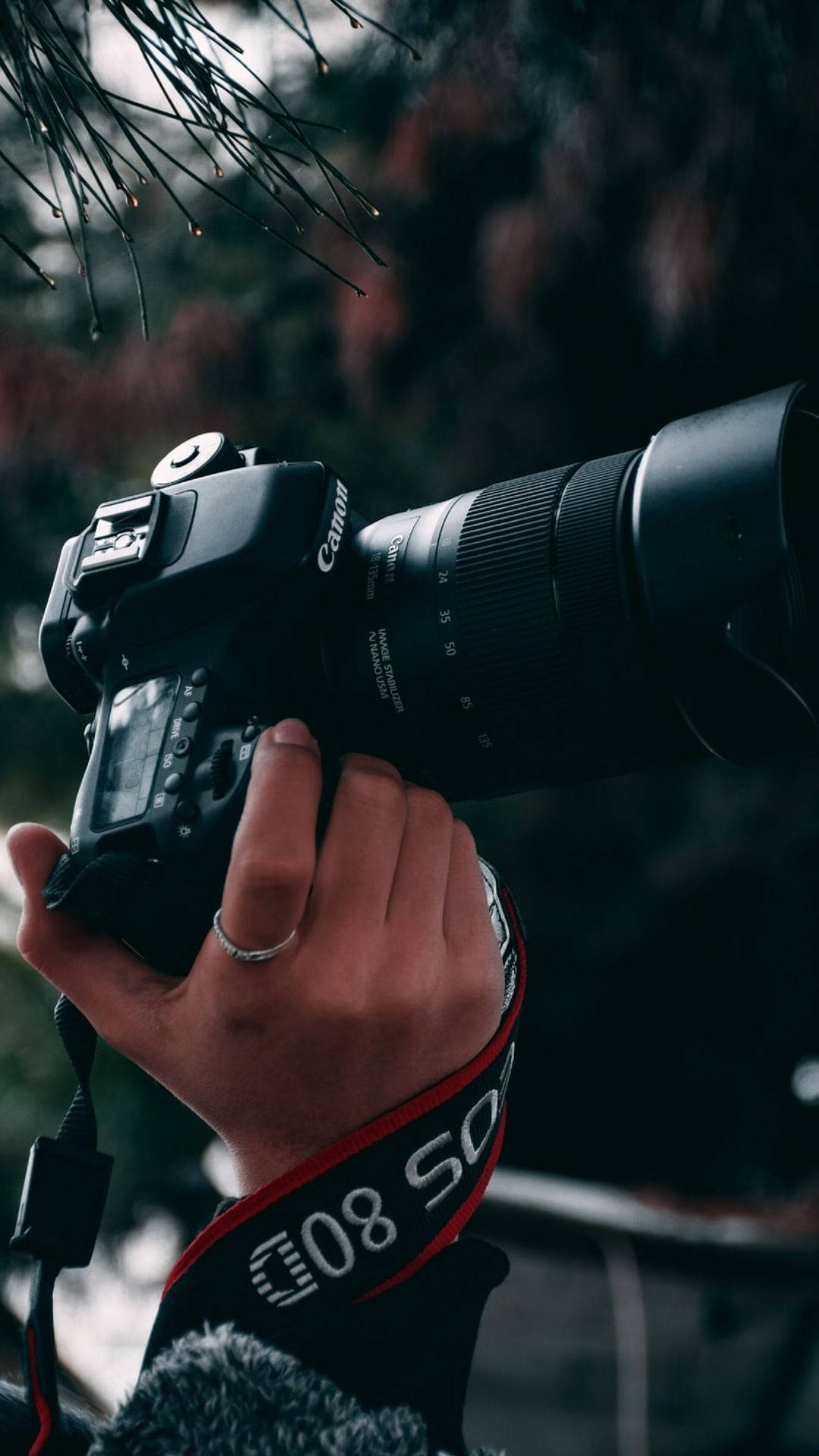Photographer Holding A Camera Background