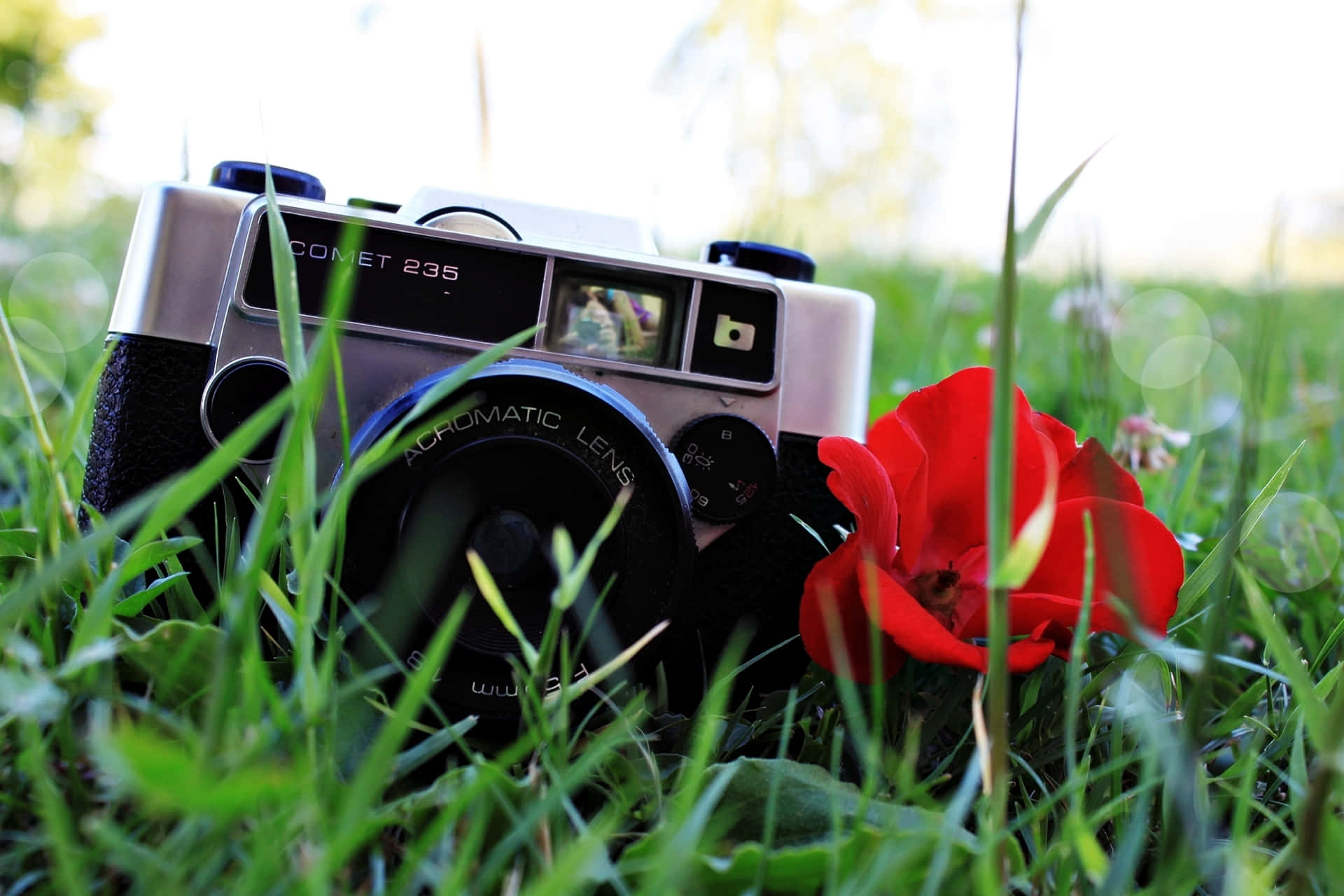 Photography Camera On Grass With Rose Background