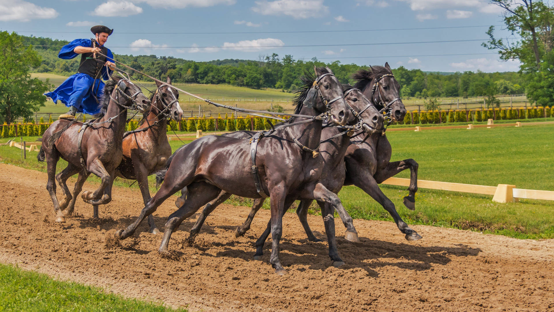 Photography Horse Riding Horse Hungarian Hd Wallpaper | Background Image Background