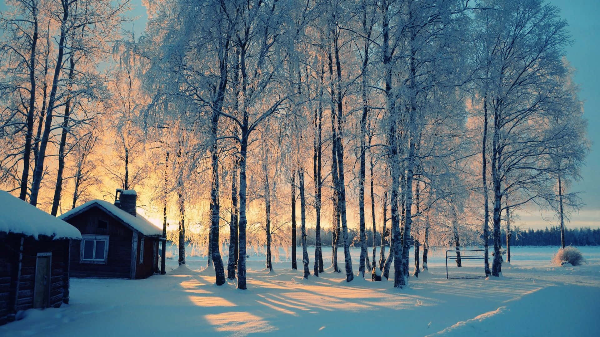 Photography Of Cozy Winter Aesthetic Sunset Scenery Background