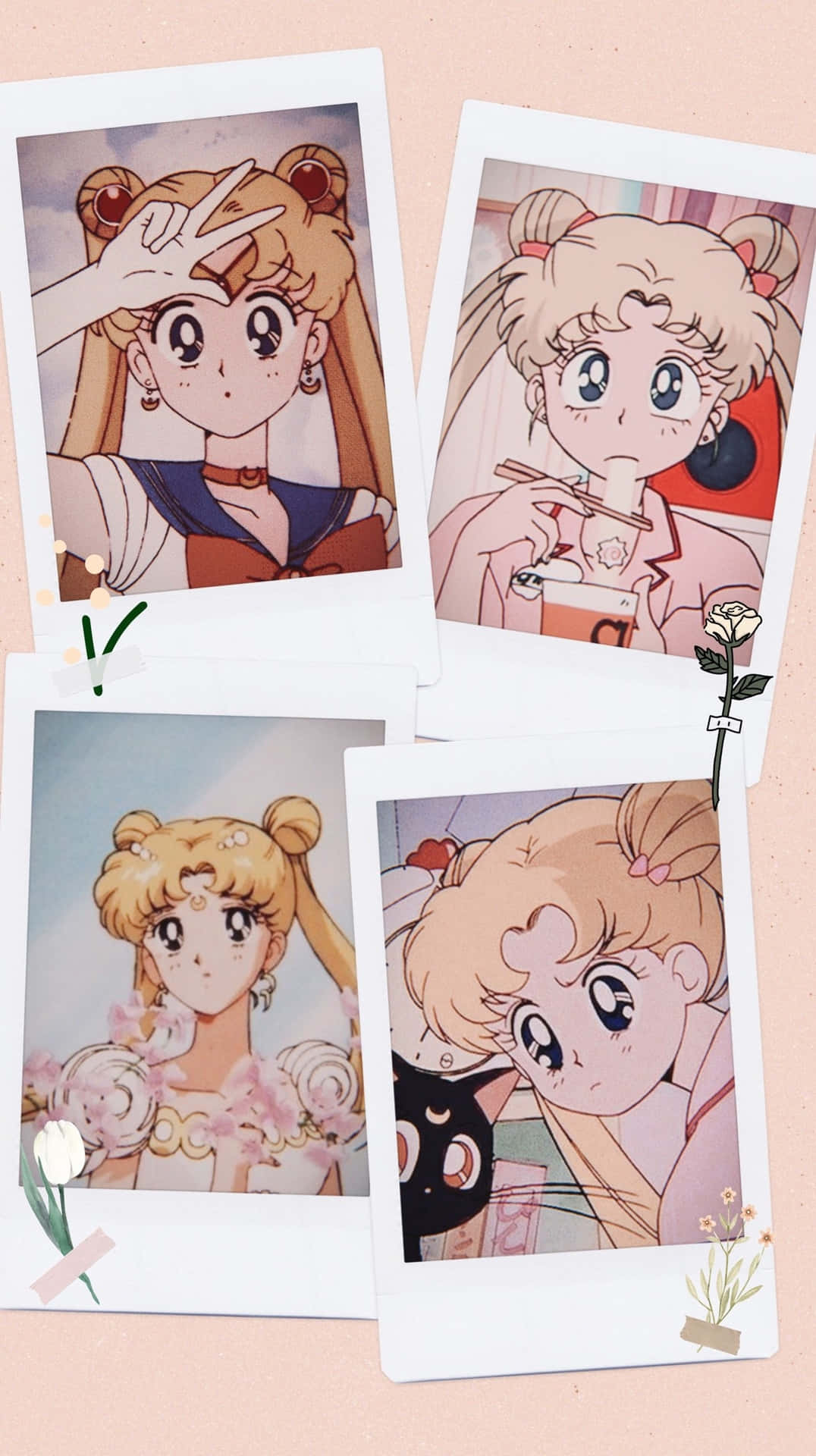 Photos Sailor Moon Pfp Background