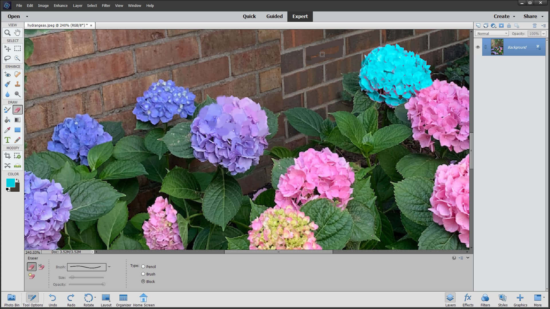 Photoshop Image Of Colorful Flowers Background