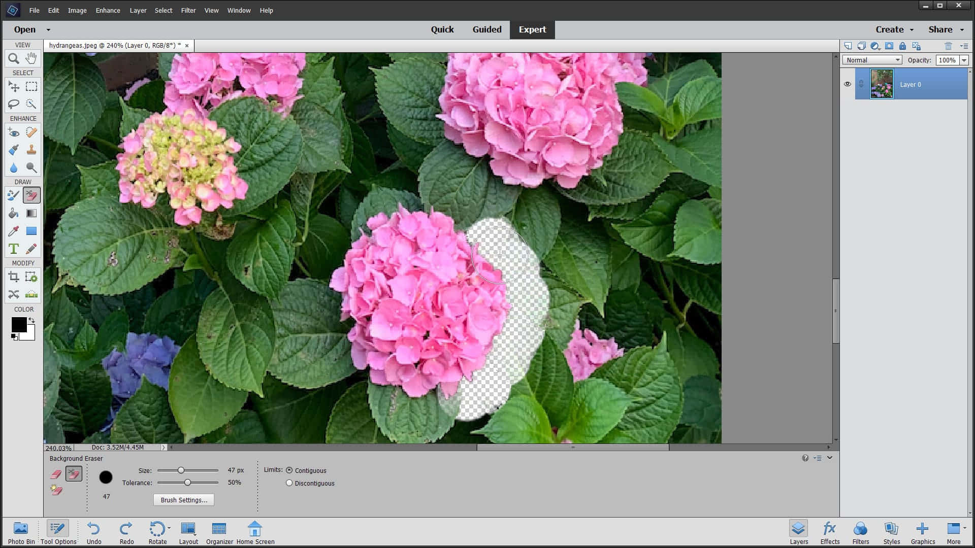 Photoshop Pink Flowers And Green Leaves Background