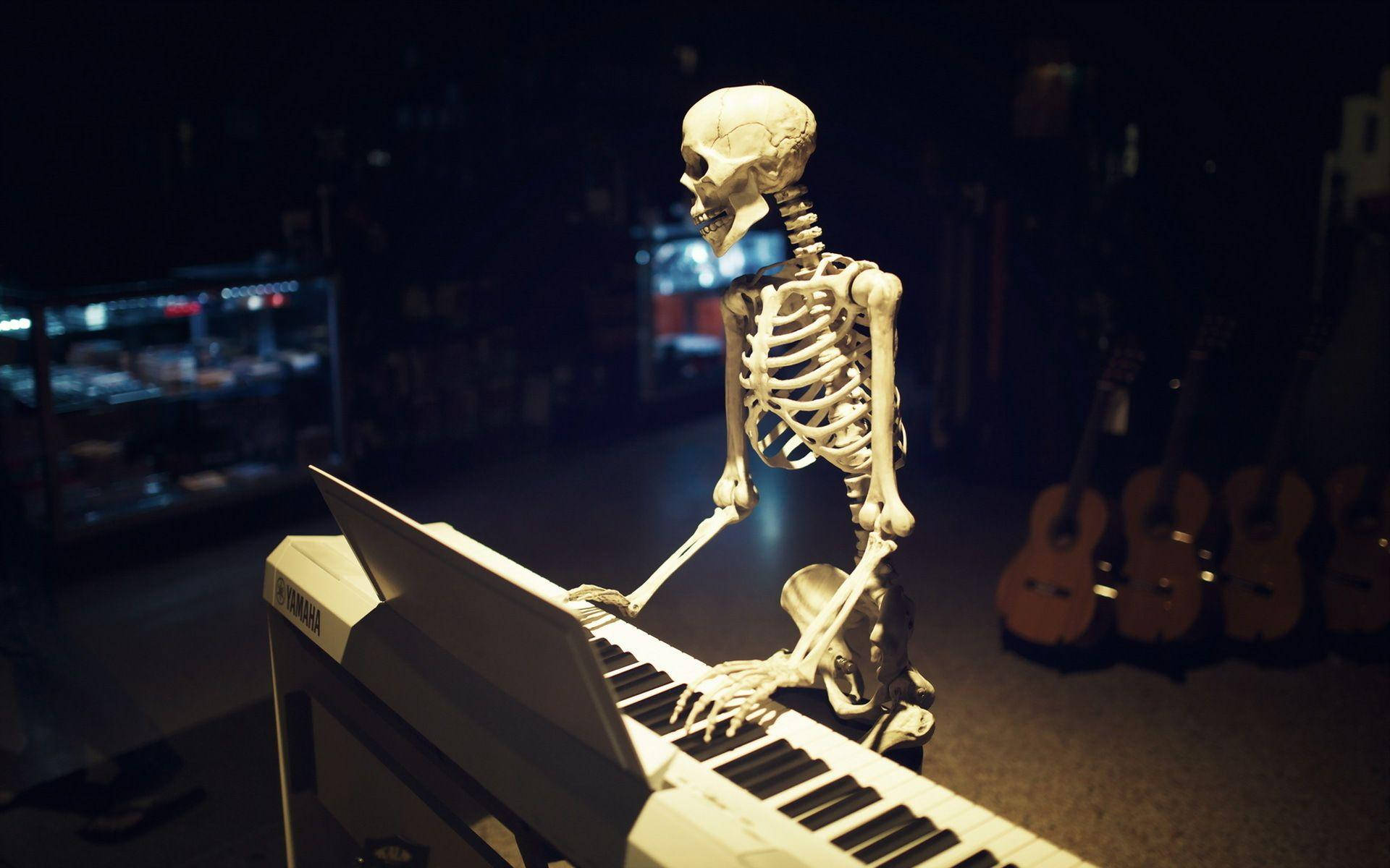 Pianist Skeleton Desktop Background