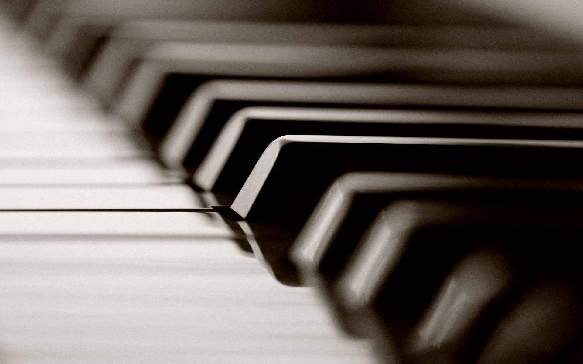 Piano Black Keys Close-up Monochrome Background
