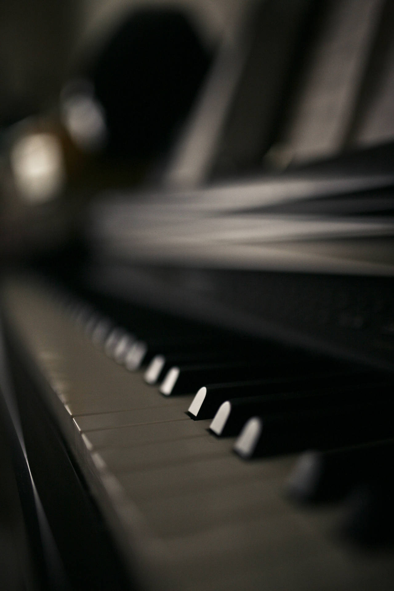 Piano Keys Macro Focus Photography Background
