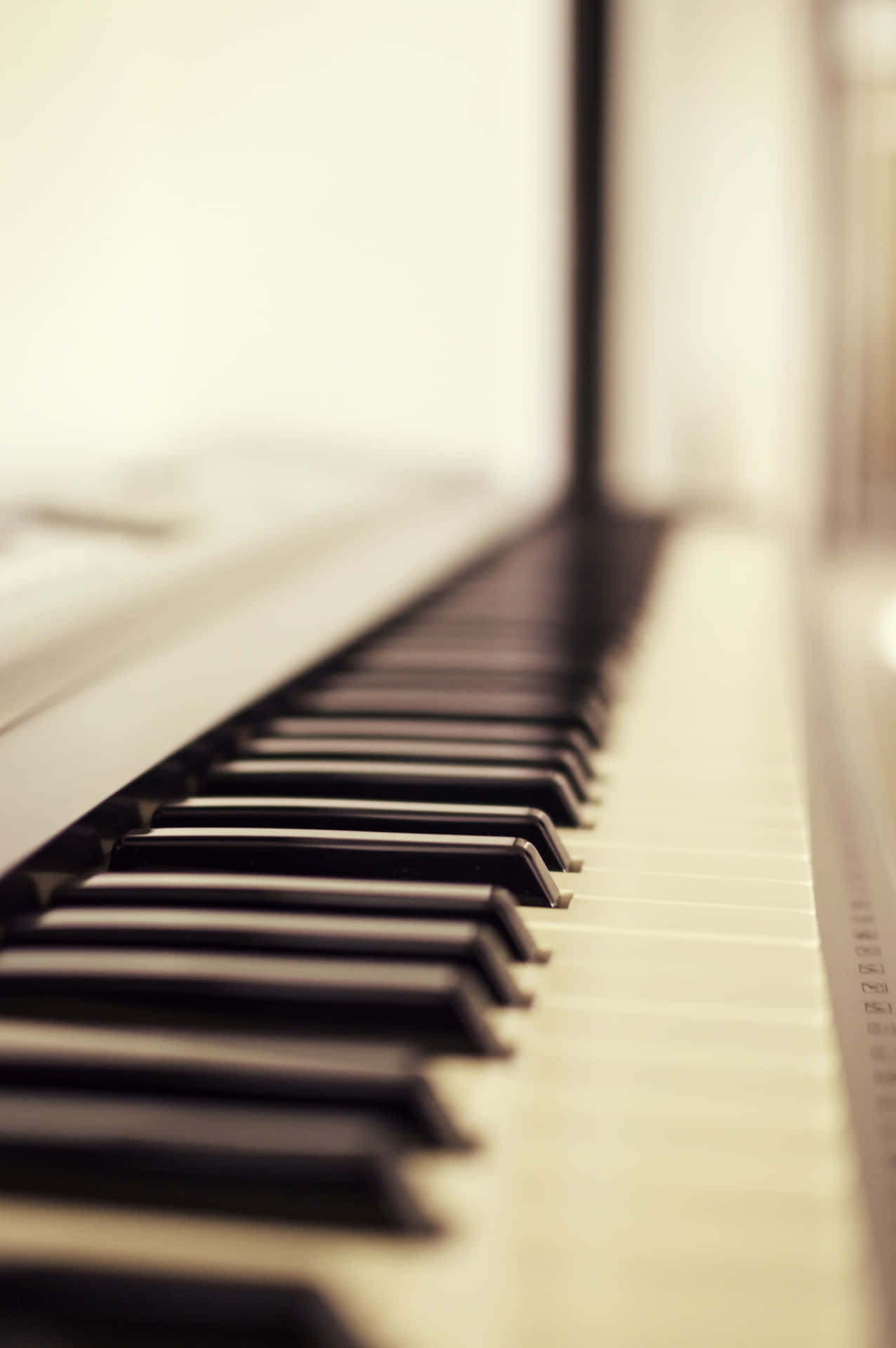 Piano Keys Musical Instrument Selective Focus Background