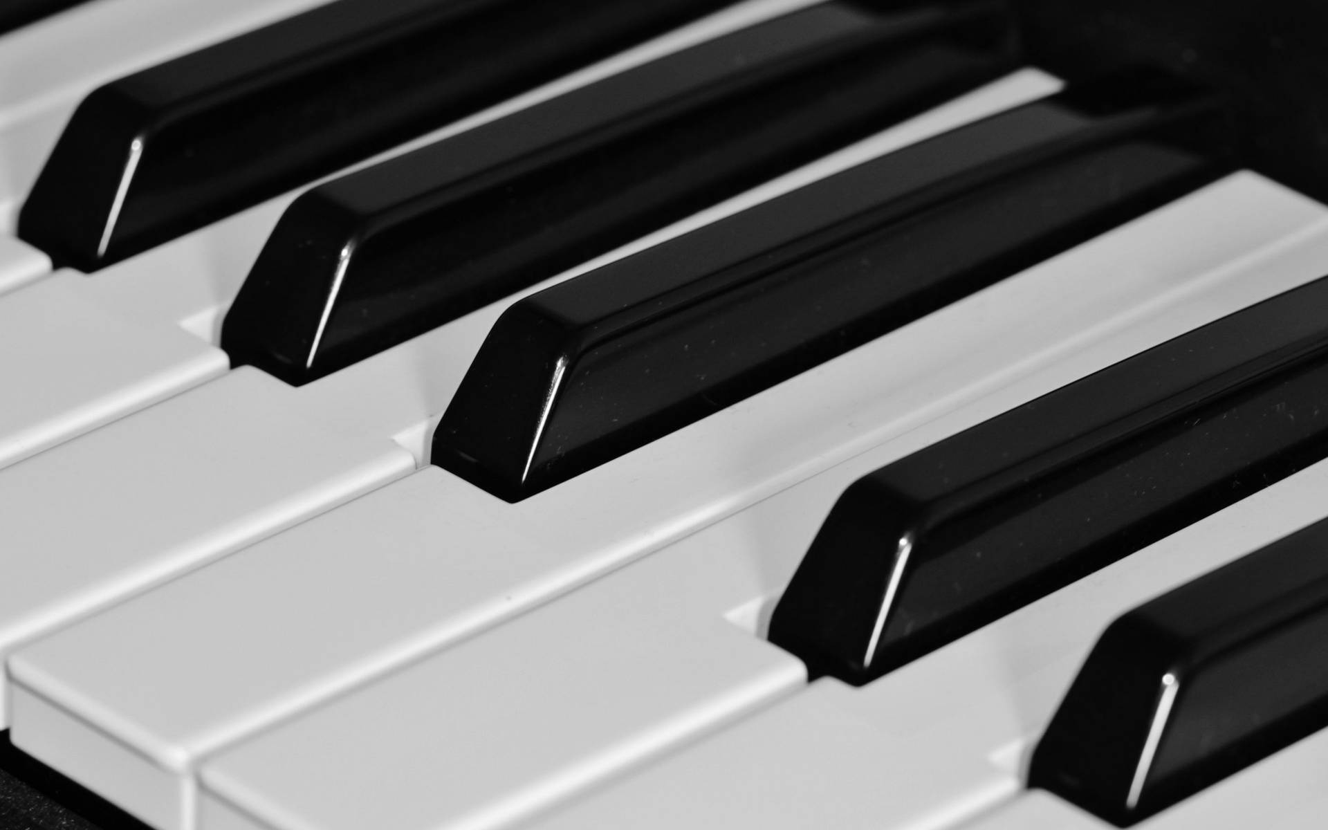 Piano Shiny Black Keys Background