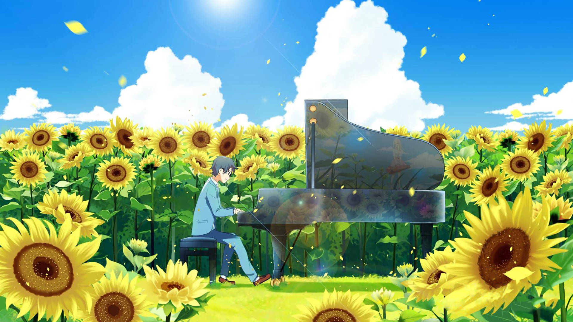 Piano Sunflower Laptop Background