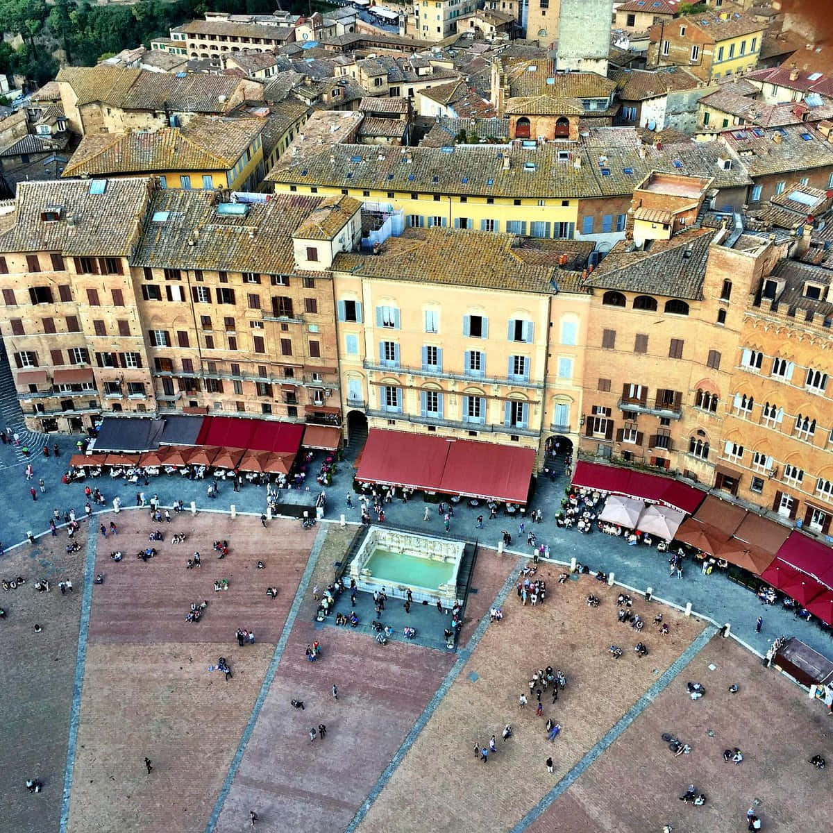 Piazza Del Campo Background