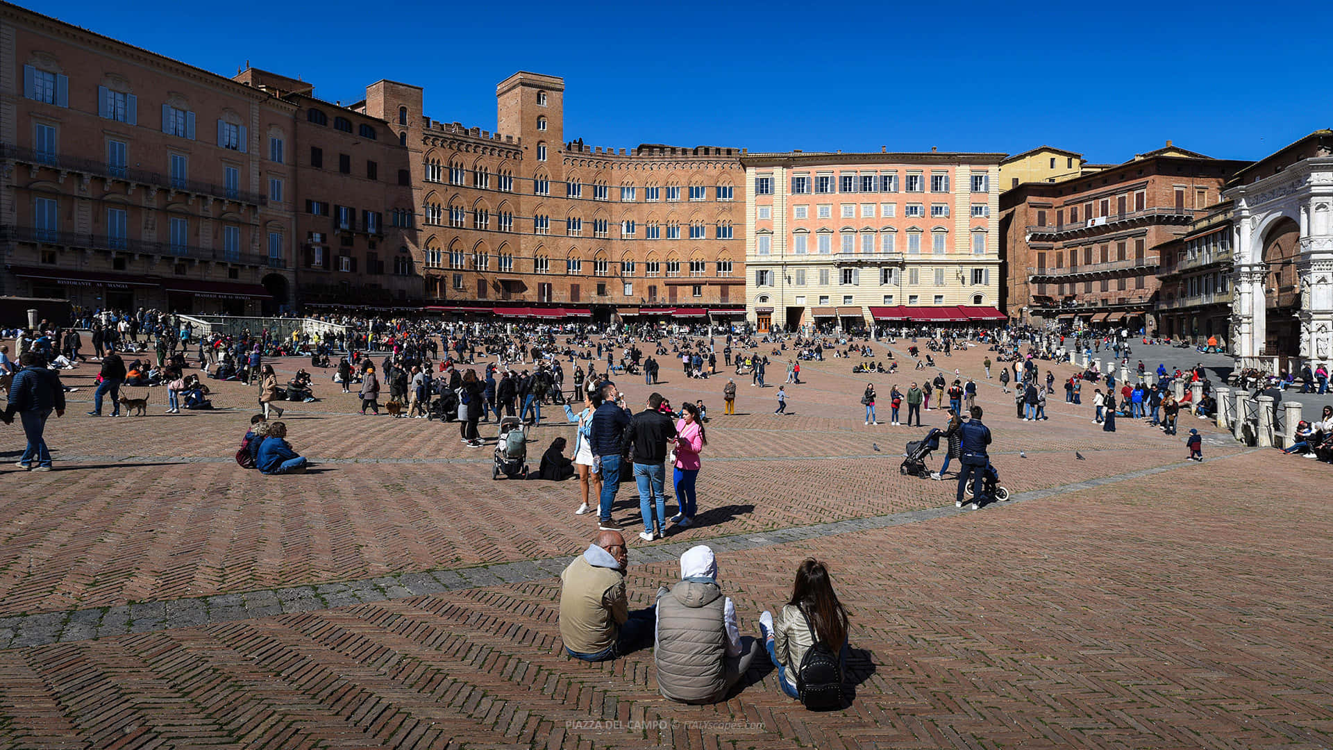 Piazza Del Campo Background