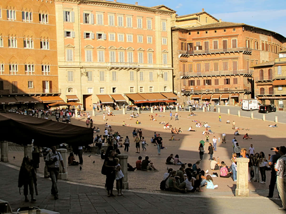 Piazza Del Campo Background
