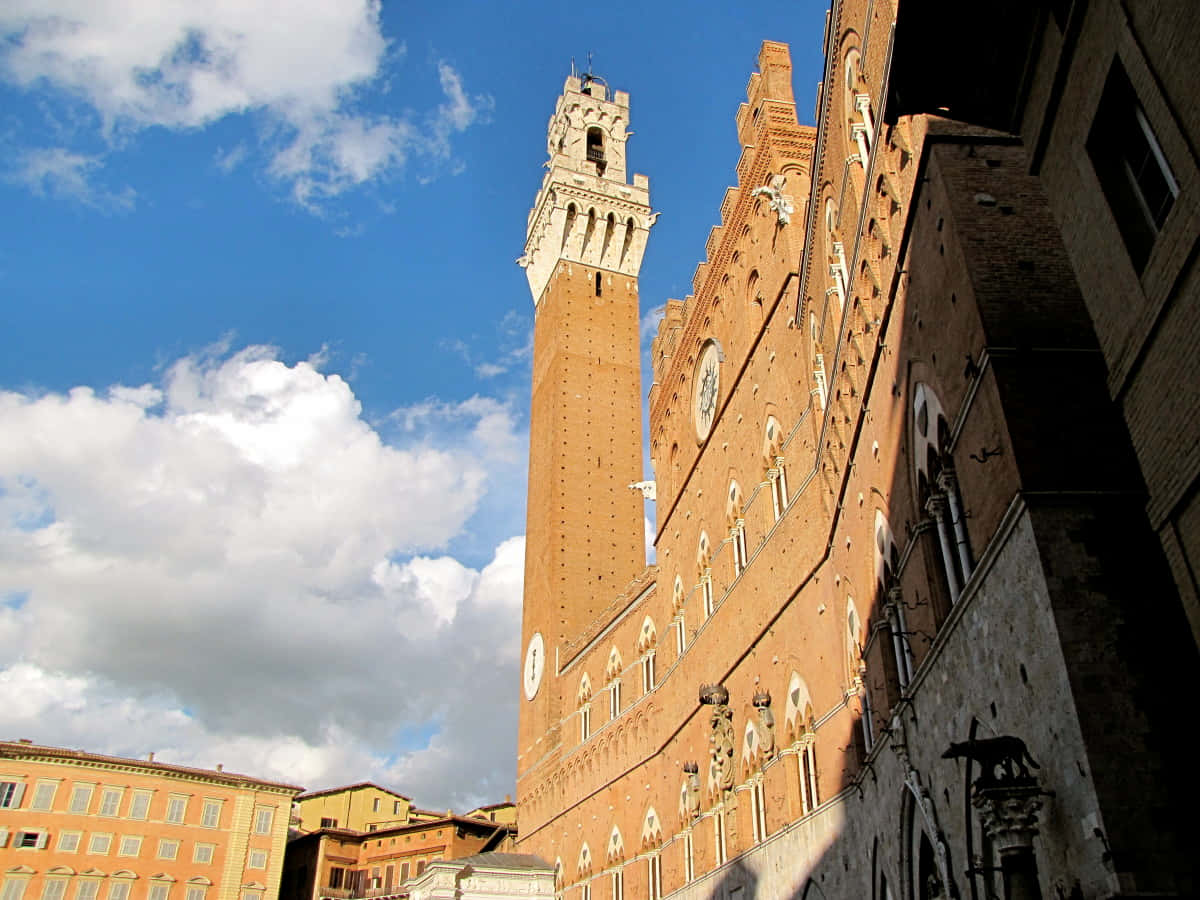 Piazza Del Campo Background