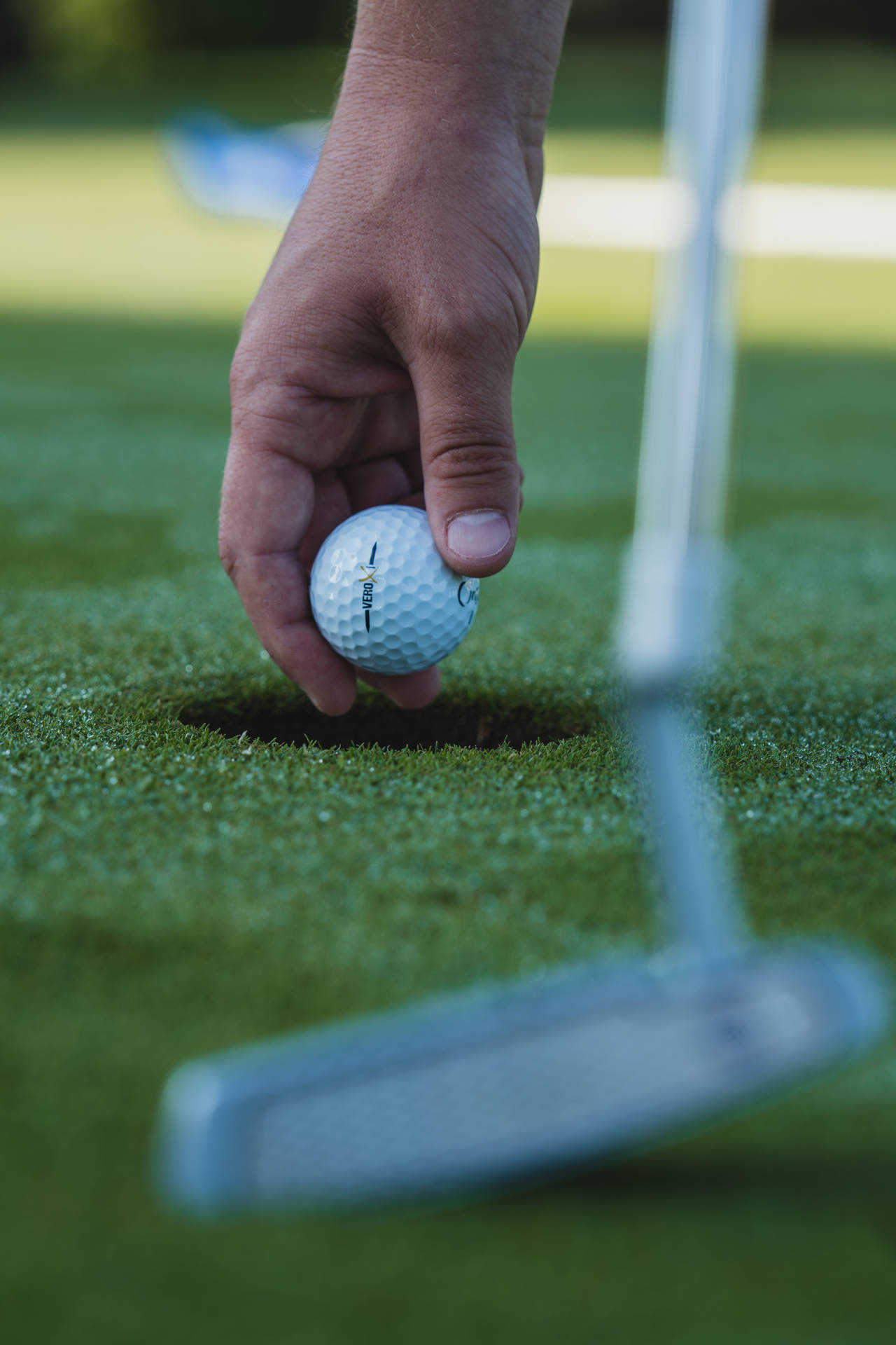 Picking Ball Golfing Desktop Background