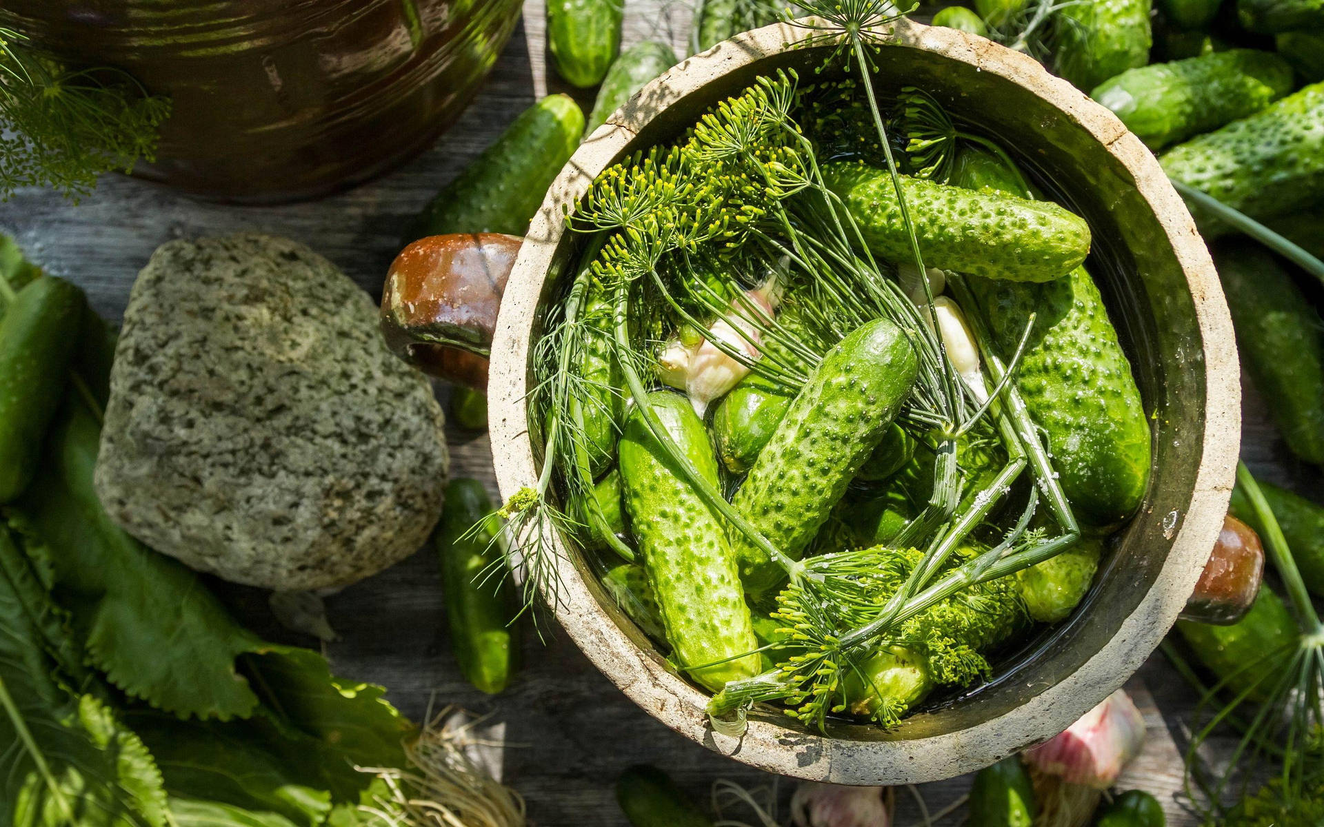 Pickles With Stalks Of Dill Background